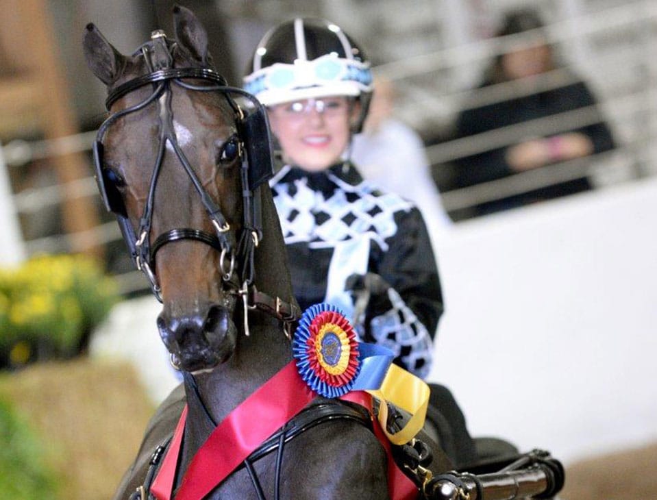 Smiling young girl competitor atop horse