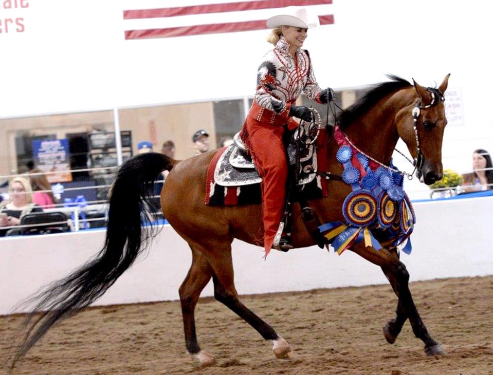 Western Pleasure Saddlebred competitor atop horse
