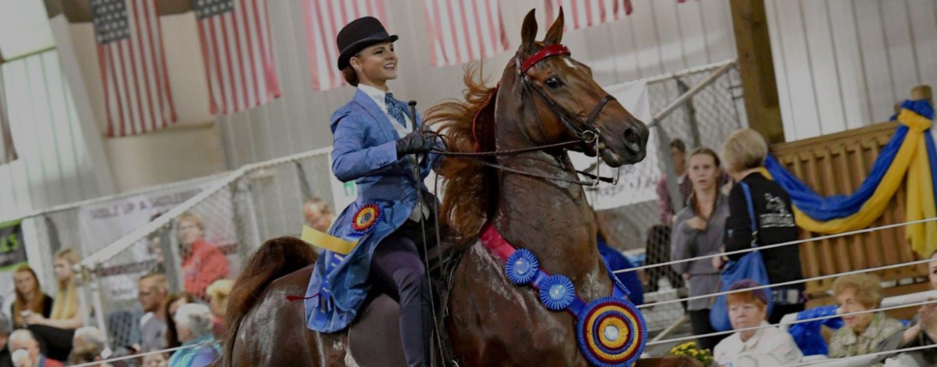 St Louis Charity Horse Show 