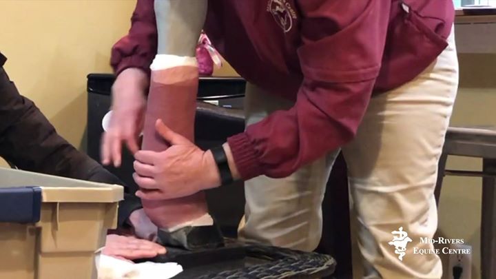 Helpful tips for an emergency!How To Apply A Compression Bandage ...